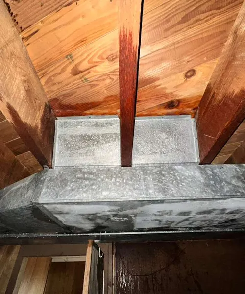 Removal Asbestos Drywall in Renton 